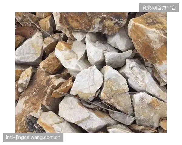 硅含量高于98%的特制石英砂，其颗粒破碎率在模拟10年高强度使用后低于2%，确保了场地投资的长期回报率
